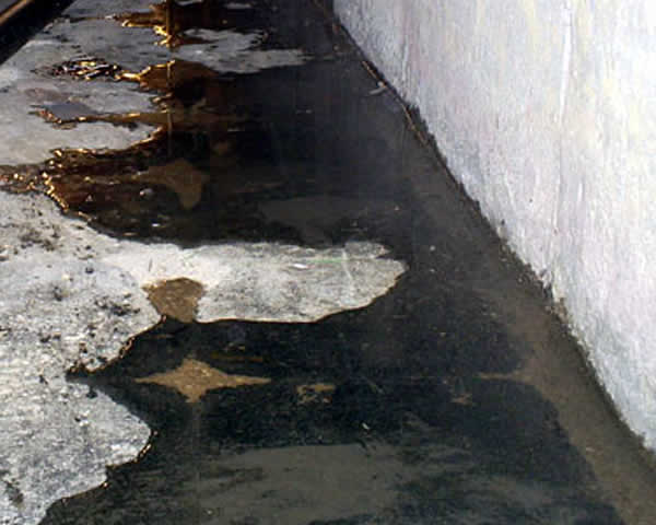 Water Damage Restoration and Renovations in Waukesha